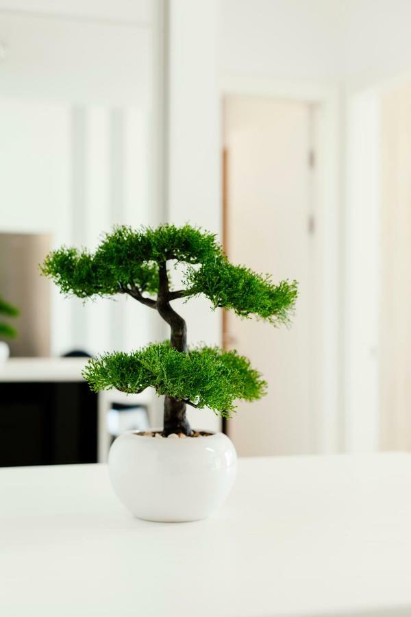 New Luxury Apartment Nives On Seaside 스플리트 외부 사진